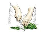 How to cut herbs correctly