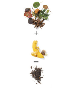 composting-101_300